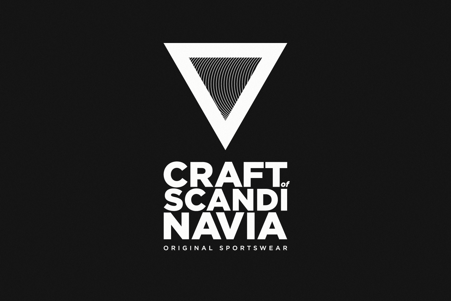 CFW_front_print_triangle_noise